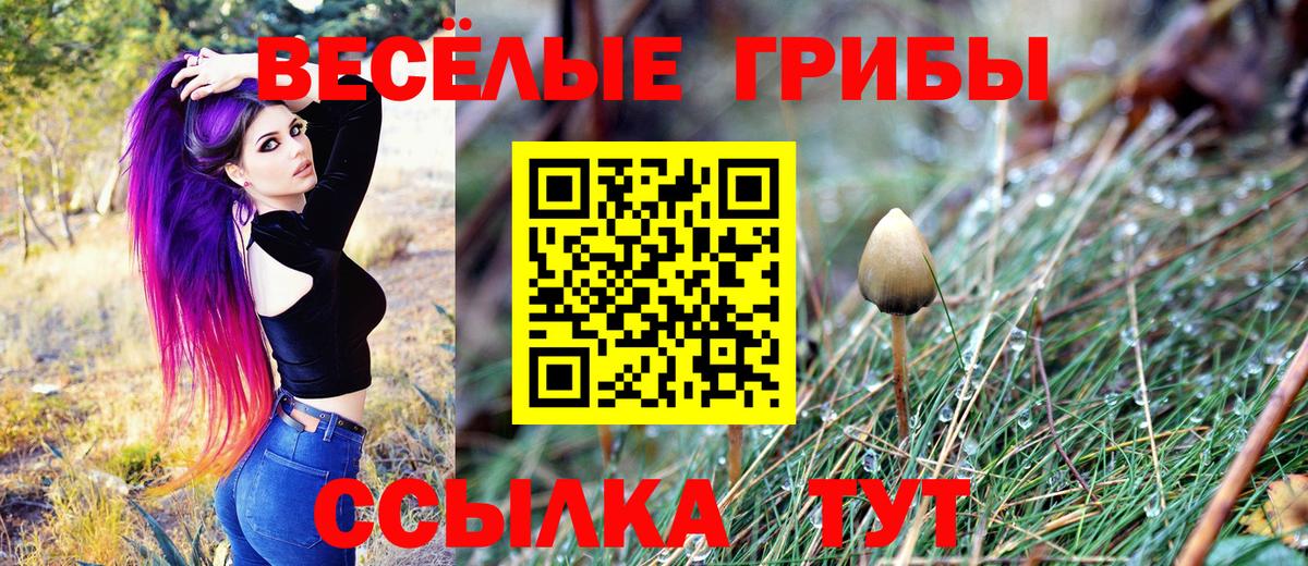 Галлюциногенные грибы ЛСД Советск
